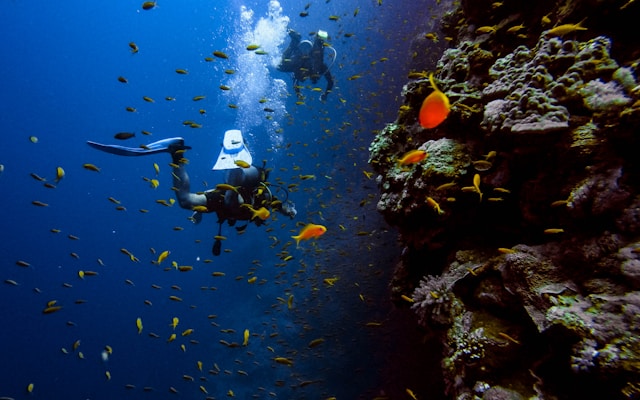 La plongée sous-marine