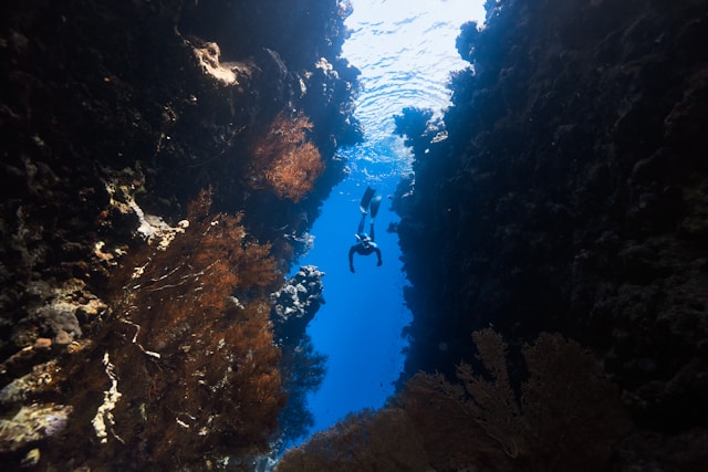 Plongée sous-marine