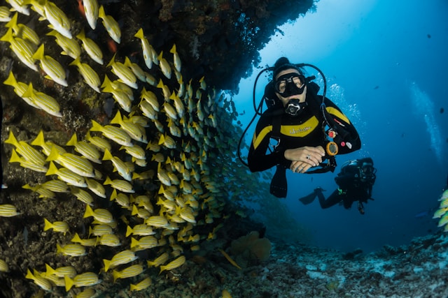 Plongée sous marine